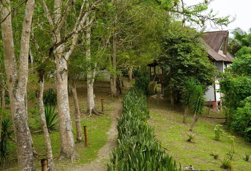 クラシックシングルルーム, Samai Lodge Holistic Living