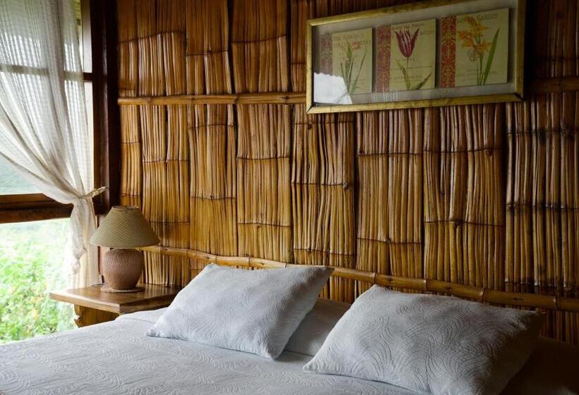 クラシックシングルルーム, Samai Lodge Holistic Living