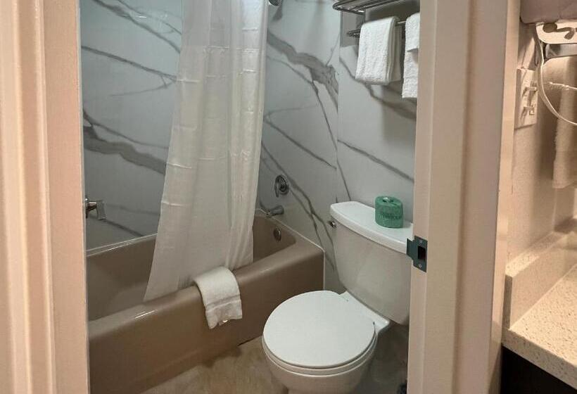 غرفة قياسية سرير كينج, Studio 6 Conroe, Tx