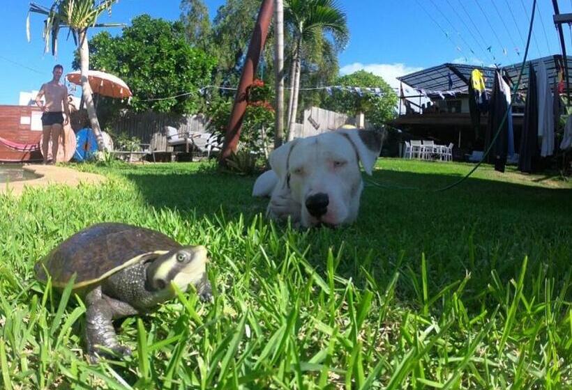 Łóżko we Wspólnym Pokoju, Gladstone Backpackers