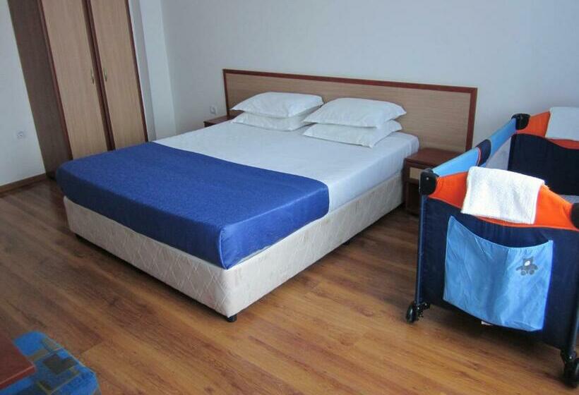 スタンダードルーム, Albatros 2 Family