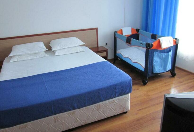 スタンダードルーム, Albatros 2 Family