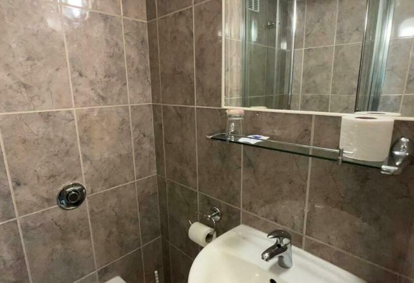 חדר דלוקס יחיד, Gorna Banya