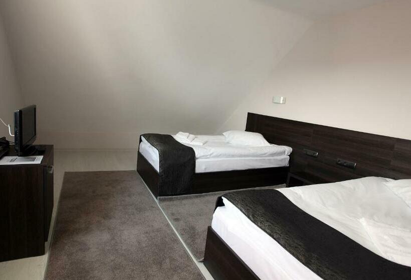 غرفة إقتصادية فردية, Idol