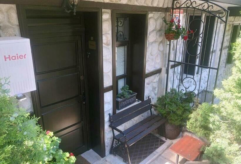 استودیوی استاندارد, Petkov Family