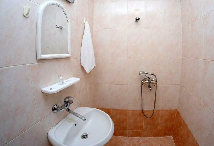 غرفة قياسية فردية, Rodopi