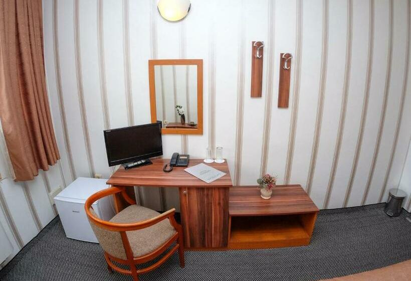 غرفة قياسية فردية, Rodopi