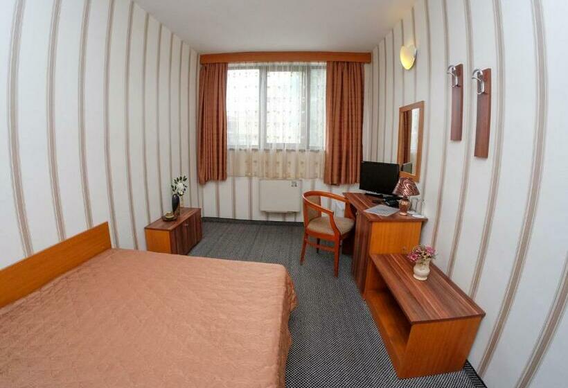 غرفة قياسية فردية, Rodopi