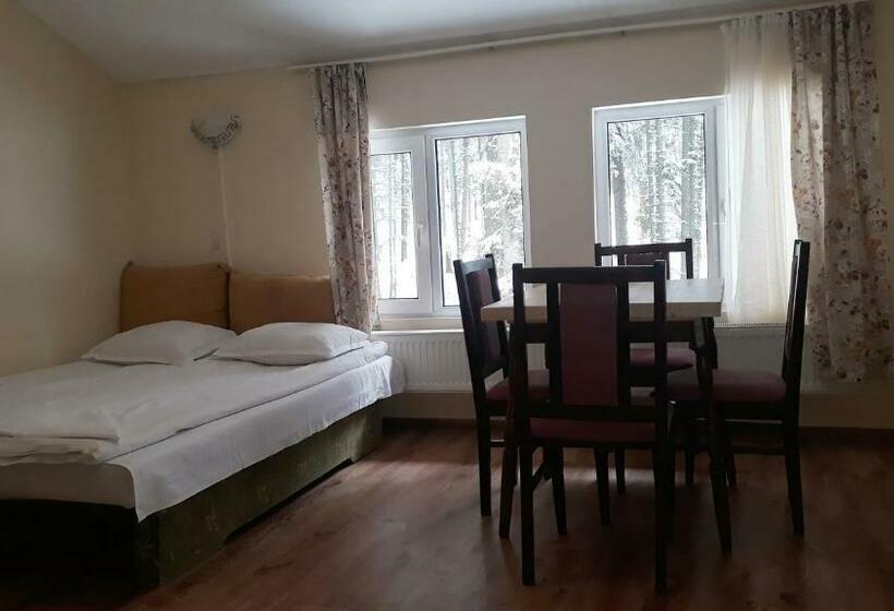 Апартаменты 1 Спальня, Villa Sveti Dimitar