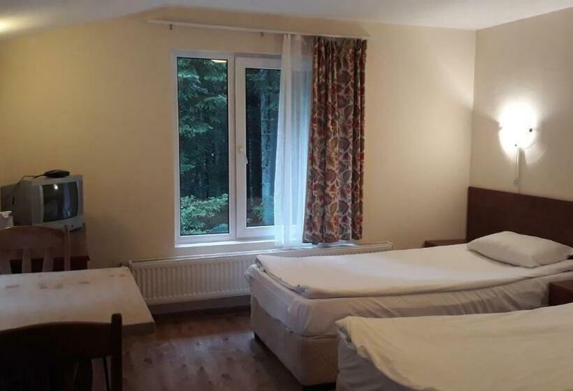 スタンダードルーム, Villa Sveti Dimitar