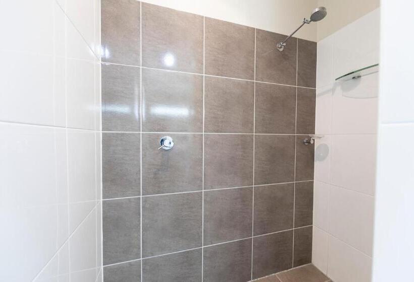 استودیوی استاندارد, Roma Explorers Inn