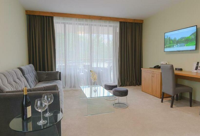 침실 2개 아파트, Spa Hotel Orbita