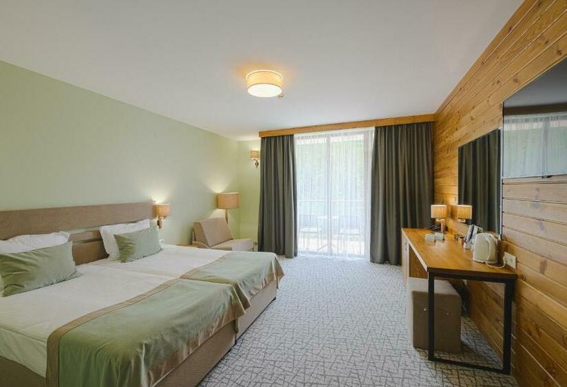 디럭스 룸, Spa Hotel Orbita