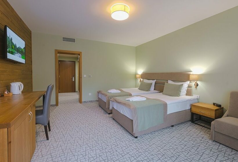 디럭스 룸, Spa Hotel Orbita