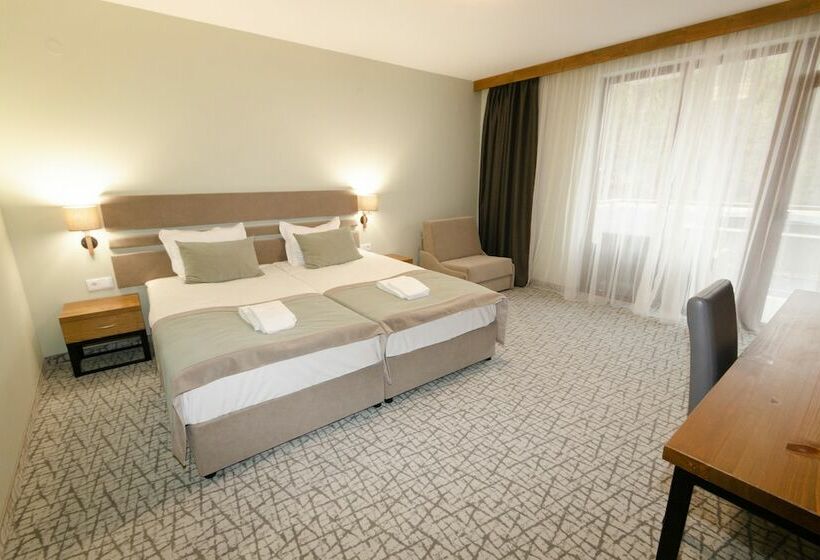 디럭스 룸, Spa Hotel Orbita