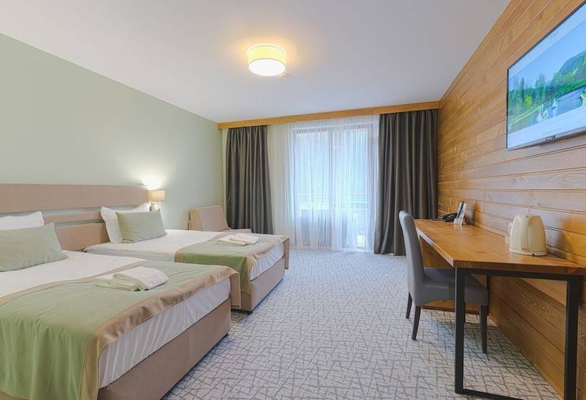 디럭스 룸, Spa Hotel Orbita