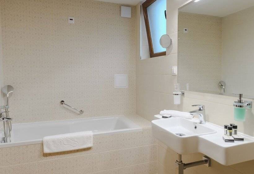 디럭스 룸, Spa Hotel Orbita