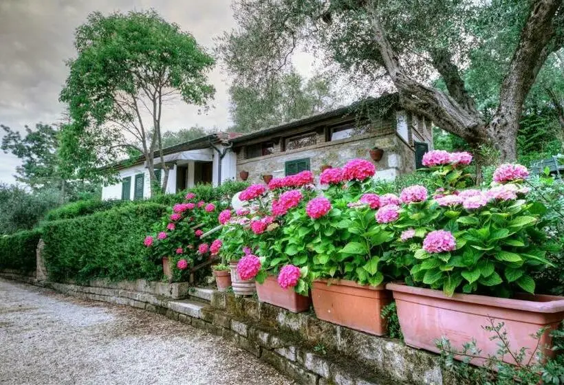 Huoneisto 1 Makuuhuone, B&b Villa Garden
