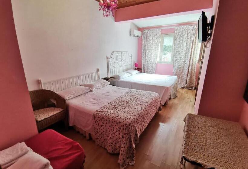 Dört Kişilik Standart Oda, B&b Xenia