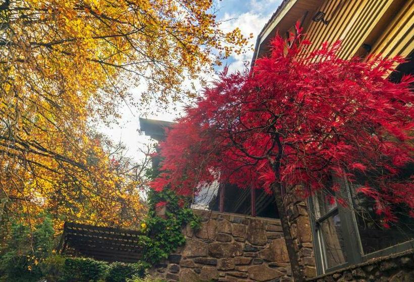 מיטת קינג בסוויטה, Arnica Views Summit Retreat