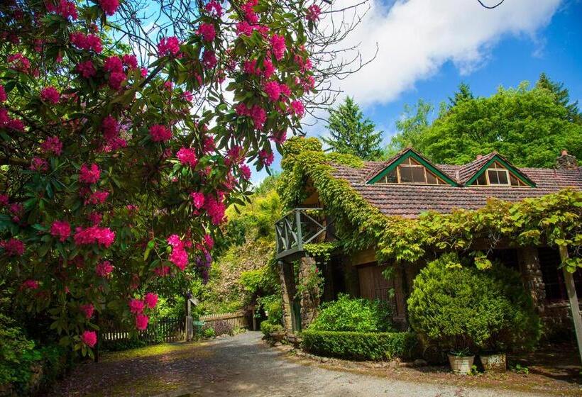 סוויטה, Arnica Views Summit Retreat