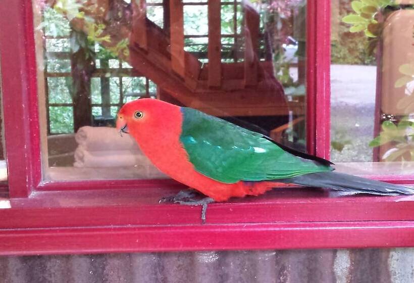 בית, חדר שינה 1, Arnica Views Summit Retreat