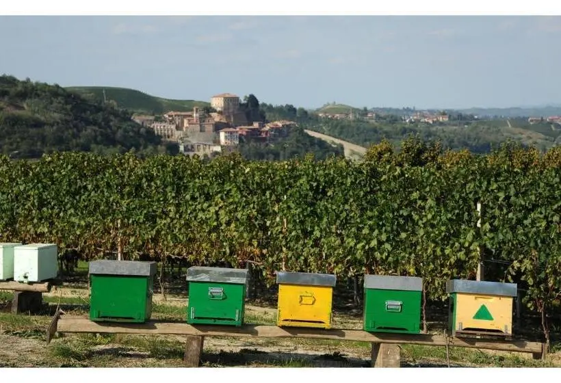 Camera Superiore, Villa Vecchio