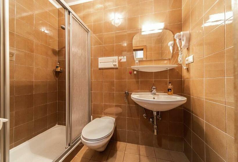 标准间带阳台, Fines