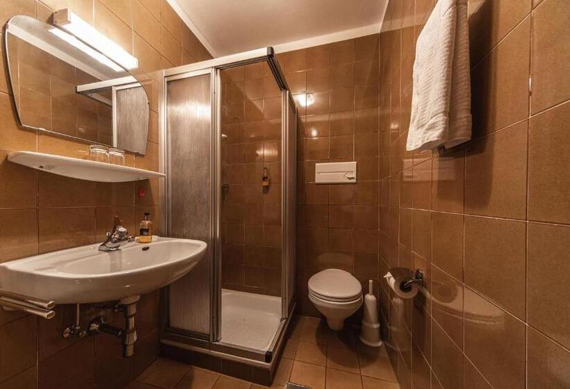 标准间带阳台, Fines