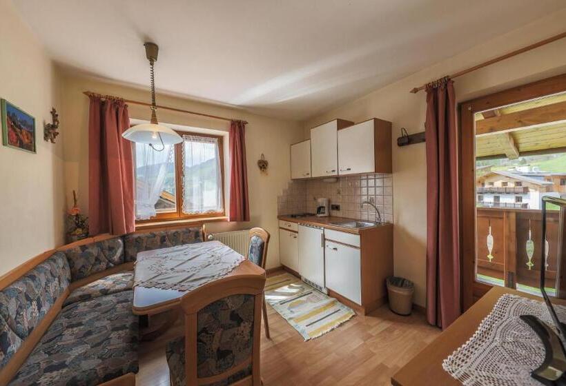 带1个卧室带观景的公寓, Fines