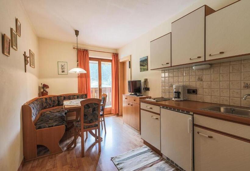 带1个卧室带观景的公寓, Fines