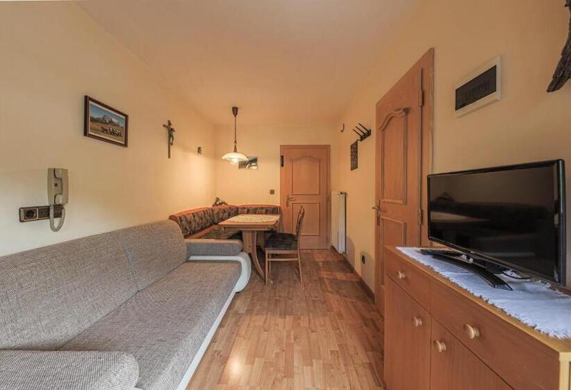 带1个卧室带观景的公寓, Fines