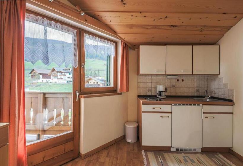 带1个卧室带观景的公寓, Fines