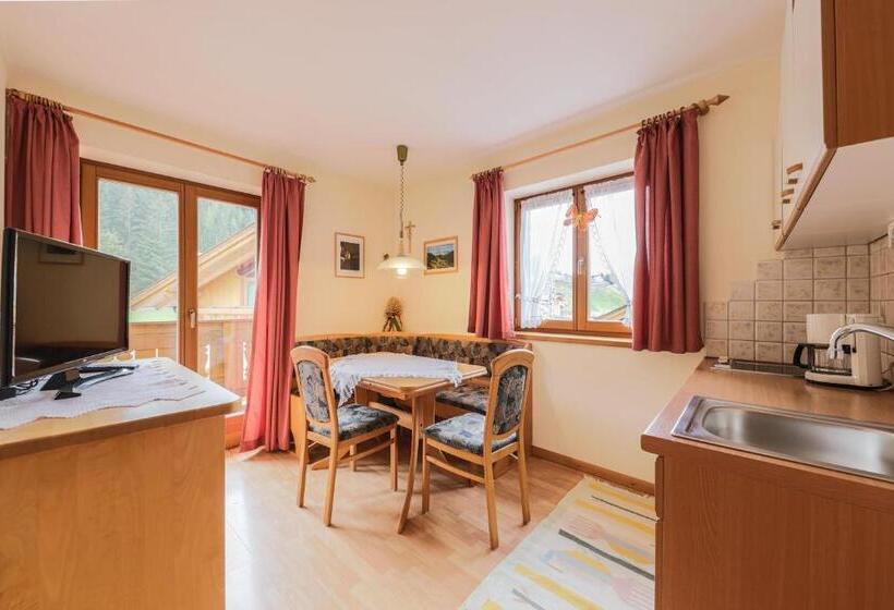 带1个卧室带观景的公寓, Fines