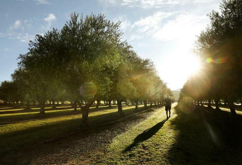 וילה בת חדר שינה 1, Adina Vineyard