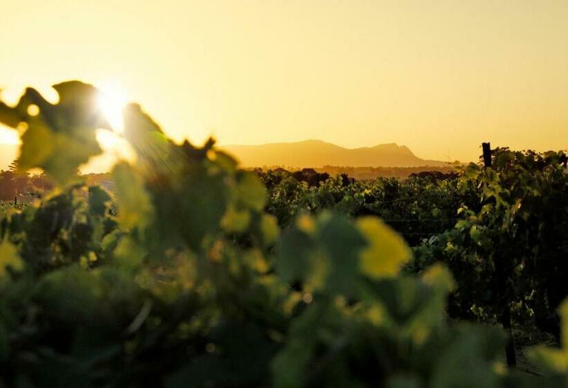 וילה בת חדר שינה 1, Adina Vineyard