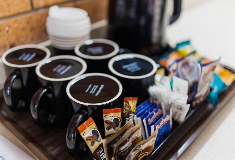 דירת שני חדרים, Castlereagh Motor Inn