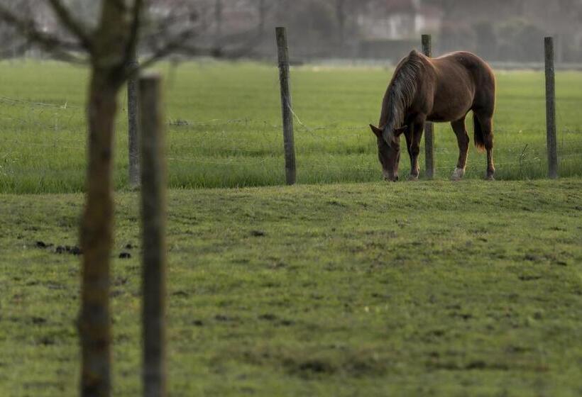 اتاق استاندارد, Agriturismo Al Botteniga