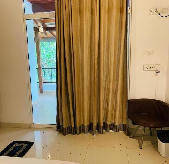 스탠다드 룸 풀장 전망, The Shade Brothers