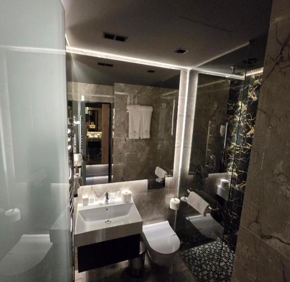 اتاق استاندارد با چشم‌انداز شهر, Vojvoda Putnik