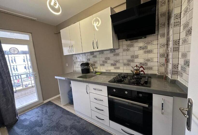 شقة غرفة واحدة, Viyana Premium Pansiyon