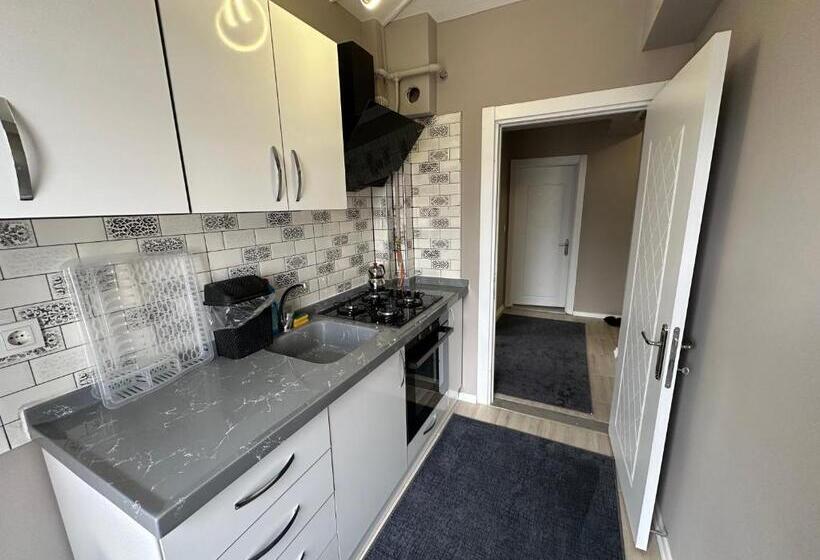 شقة غرفة واحدة, Viyana Premium Pansiyon