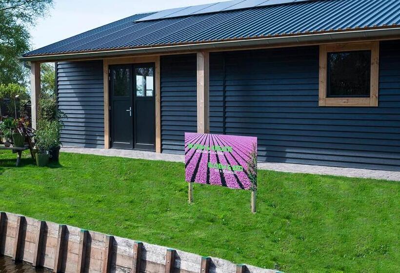 Номер Стандарт с Террасой, Bloem & Bed