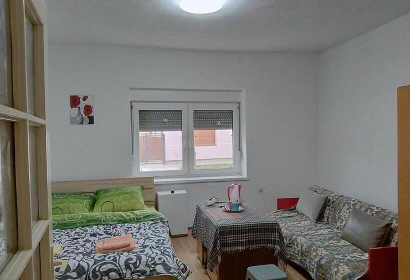 اتاق استاندارد با سرویس بهداشتی مشترک, Cozy Hotel With Breakfast