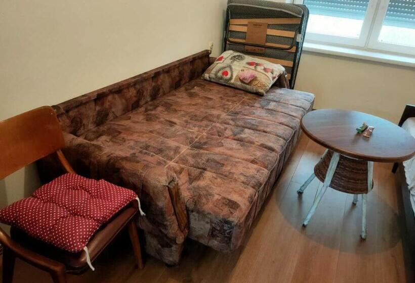 اتاق استاندارد با سرویس بهداشتی مشترک, Cozy Hotel With Breakfast