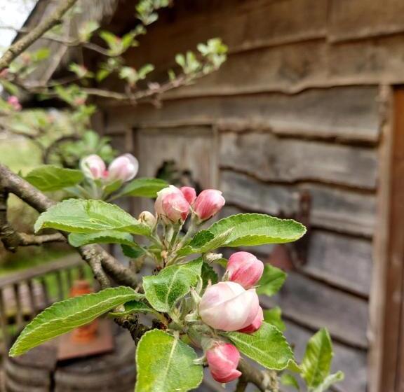 스탠다드 룸 가든 전망, Cabane La Tête Dans Les étoiles