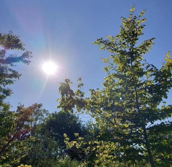 스탠다드 룸 가든 전망, Cabane La Tête Dans Les étoiles