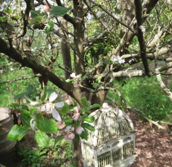 스탠다드 룸 가든 전망, Cabane La Tête Dans Les étoiles