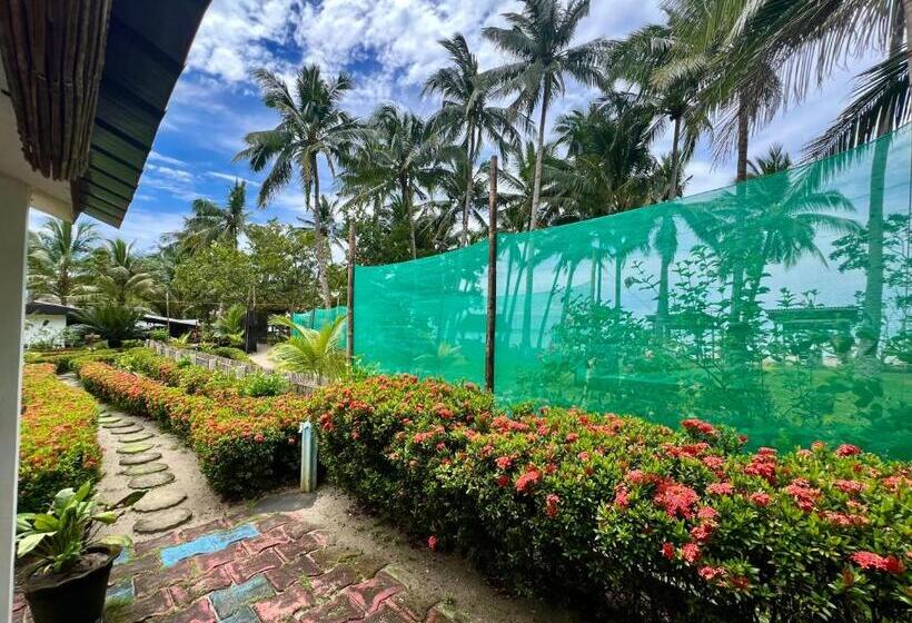 디럭스 룸 바다 전망, Green Garden Beach Resort, Sipalay