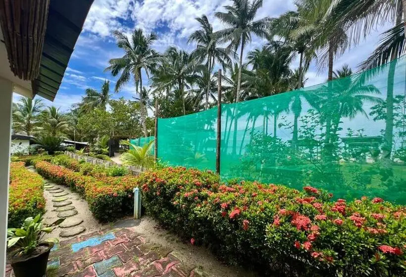 Deluxe-huone Merinäkymä, Green Garden Beach Resort, Sipalay